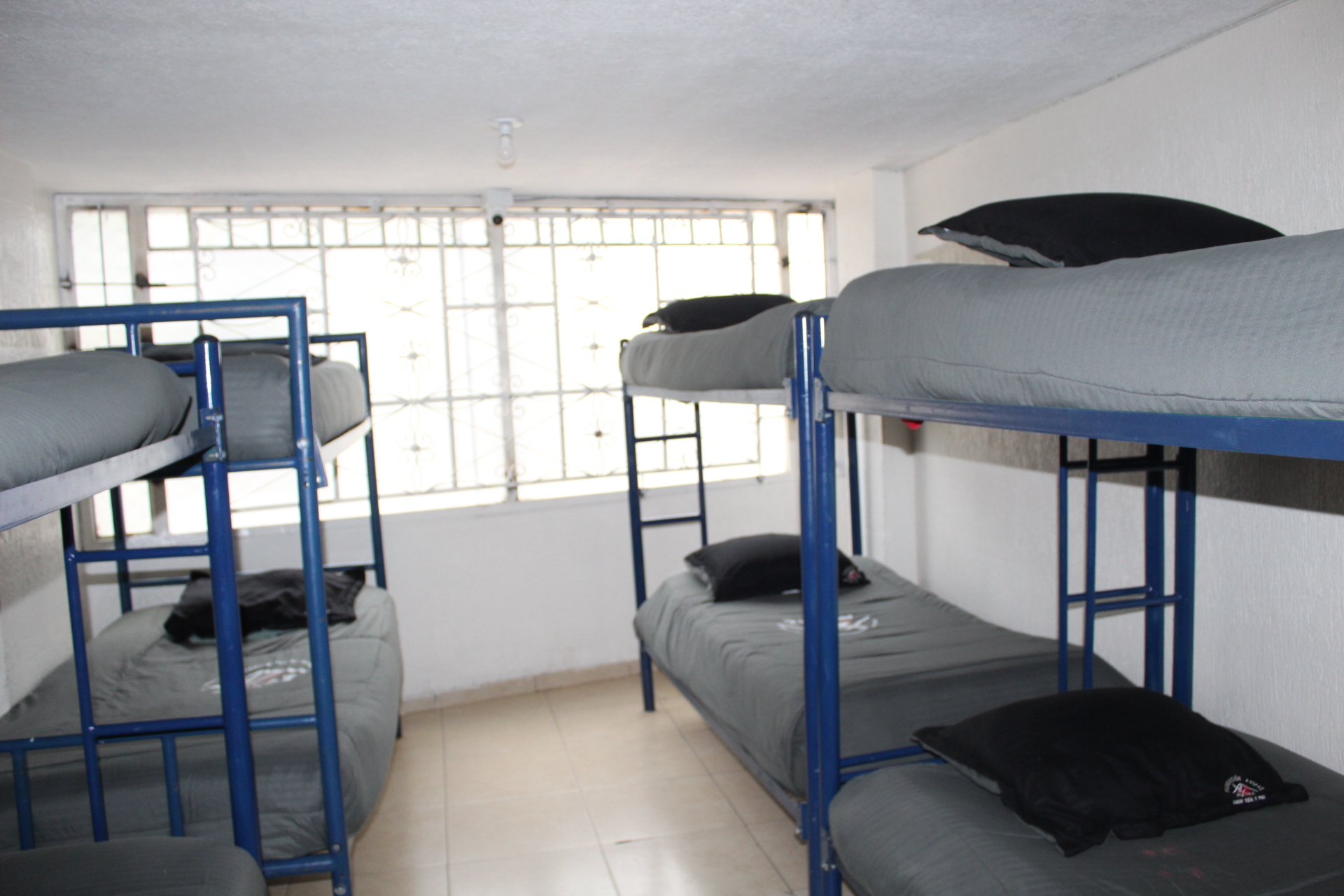 Talleres formativos AVIPAZ